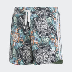 Шорты Zoo adidas Originals