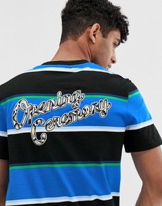 Lacoste Live Snik