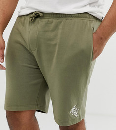 Трикотажные шорты с логотипом French Connection Plus - Зеленый