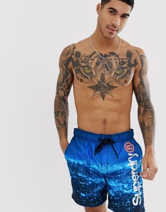 Шорты для плавания с логотипом Superdry - Синий