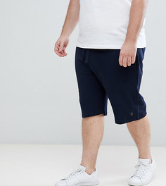 Трикотажные шорты French Connection PLUS - Темно-синий