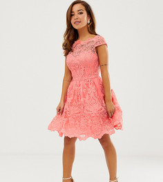 Платье мини из премиум-кружева кораллового цвета Chi Chi London Petite - Розовый