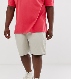Светло-бежевые шорты-чиносы с логотипом Polo Ralph Lauren Big & Tall - Prepster - Светло-бежевый