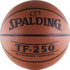 Мяч баскетбольный Spalding TF-250 All Surface р.6 (74-532z)