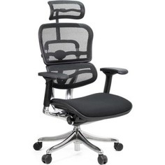 Кресло эргономичное Comfort Seating Group EHPE-AB-HBM-F W09-01/A24337 ergohuman plus elite black (seat fabric)