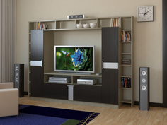 Тумба ВТ 10-51 ДИК