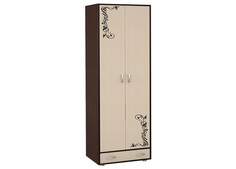 Шкаф платяной 2-х дверный с рисунком ДИК