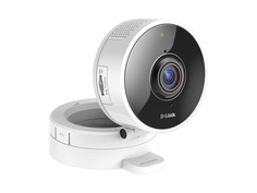 IP камера D-Link DCS-8100LH