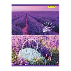 Тетрадь Silwerhof 810023-74 80л. клет. A4 Лаванда 2диз. мел.карт. сплош.уф.лак скрепка