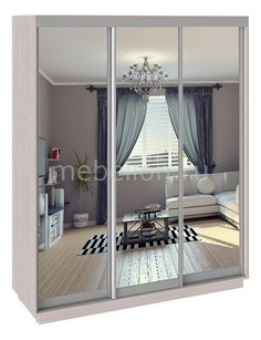 Шкаф-купе Румер СШК 1.180.60-13.13.13 Triya