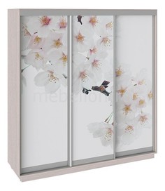 Шкаф-купе Румер СШК 1.210.70-35 Triya