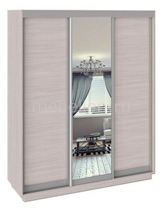 Шкаф-купе Румер СШК 1.180.60-11.13.11 Triya