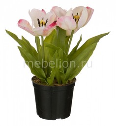 Растение в горшке (29 см) Тюльпан 654-197
