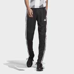 Брюки Tiro 19 adidas Performance