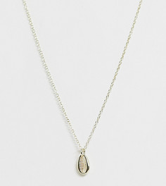 Позолоченное серебряное ожерелье с ракушкой Kingsley Ryan - Золотой