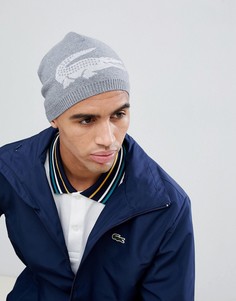 Серая шапка-бини с логотипом Lacoste - Серый