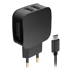 Зарядное устройство Ginzzu 2xUSB 2.1A Black GA-3010UB