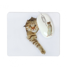 Мышь CBR Capture USB + коврик