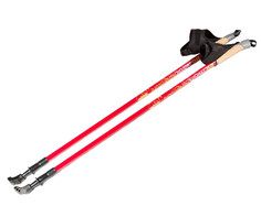 Палки Big Game Nordic Adventure