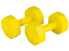 Гантели Atemi AD023 2x1.5kg