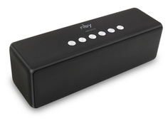 Колонка ZDK NBY 5510 Black