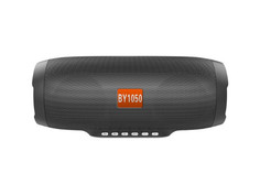 Колонка ZDK BY 1050 Grey