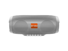 Колонка ZDK BY 1050 Silver