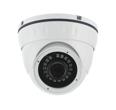 IP камера Ginzzu HID-2031S