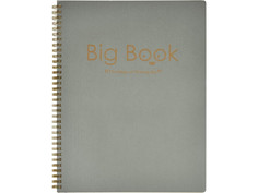 Бизнес-тетрадь Attache Selection Big Book А4+ 80 листов Silver 419981