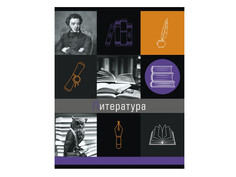 Тетрадь Феникс+ A5 48 листов Литература 47057