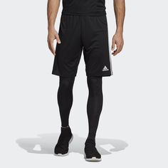 Шорты Tiro 19 Two-in-One adidas Performance