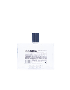 Туалетная вода Odeur53 Comme des Garcons Parfum