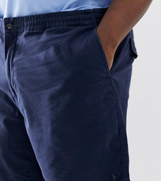 Темно-синие шорты-чиносы с логотипом Polo Ralph Lauren Big & Tall - Prepster - Темно-синий