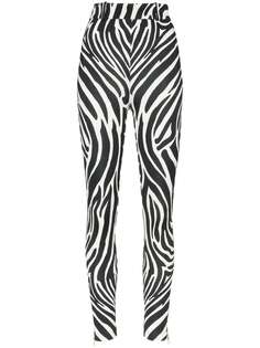 Versace легинсы с зебровым принтом