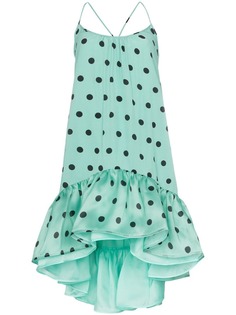 Silvia Tcherassi Brigid polka-dot print dress