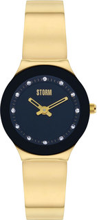 Женские часы в коллекции Arin Женские часы Storm ST-47426/GD