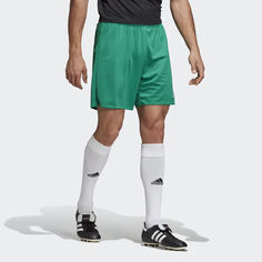 Шорты Parma 16 adidas Performance