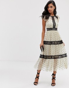 Кремовое сетчатое платье миди в горошек с кружевными вставками Lace & Beads - Мульти