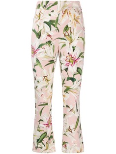 Dolce & Gabbana брюки с цветочным принтом