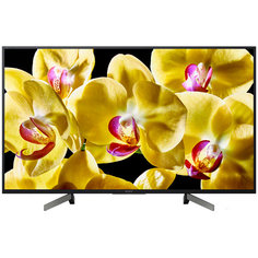 Телевизор Sony KD-49XG8096