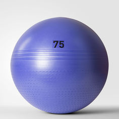 Гимнастический мяч Flash Purple (75 см) adidas Performance