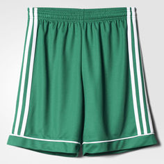 Шорты Squadra 17 adidas Performance