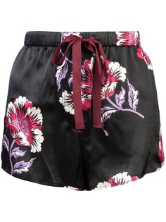 Morgan Lane шорты Martine