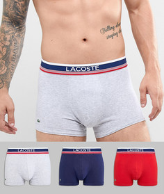 Набор из 3 боксеров-брифов из эластичного хлопка Lacoste - Мульти