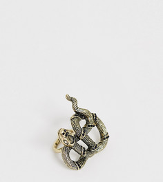 Серебристое кольцо с дизайном змея Sacred Hawk - Серебряный