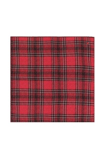 Платок карманный ISAIA