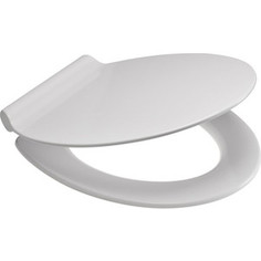 Крышка-сиденье Berges Slim с микролифтом, быстросъемное (016003)