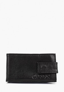 Визитница Forte St.Petersburg ВАМ