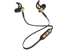 Nobby Expert L-900 Metal-Gold