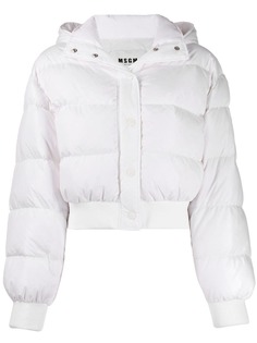 MSGM пуховик с логотипом